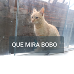 ######### group o como se diga