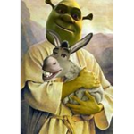 Donkey, our angel