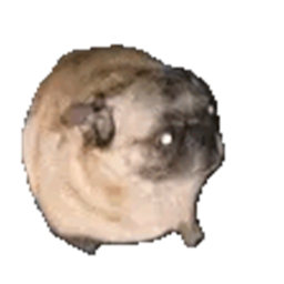 pug chill room (ADDED NPC)