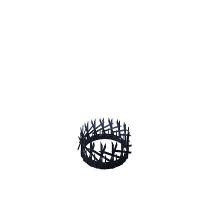 Crown of the Night Sky.