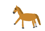 -||-Sunshine Hill Stables-||-