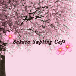 Sakura Sapling Café
