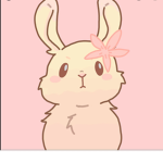emi's bunniess