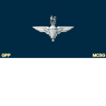 Guards Parachute Platoоn