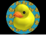 Epix Duck Indo