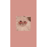 Meow Queens and Kings! <3