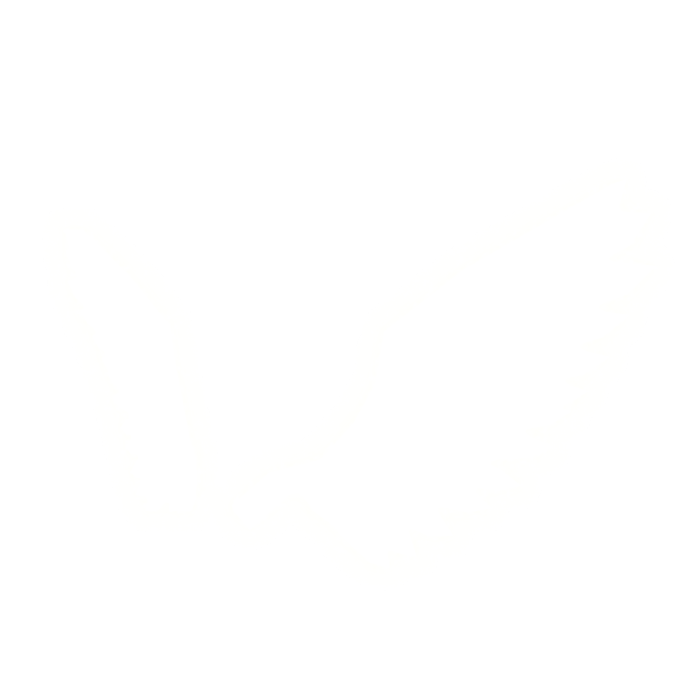 Glowing Angel Wings [Emissive]