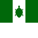 Council of turtles