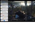 Birdyblox