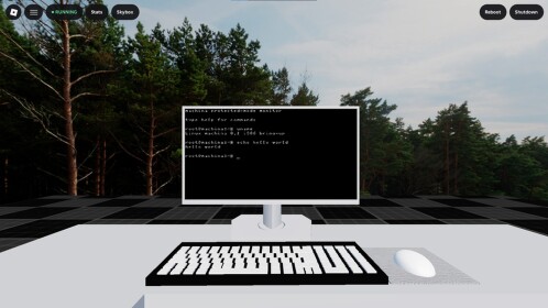 Machina: Virtual Computer