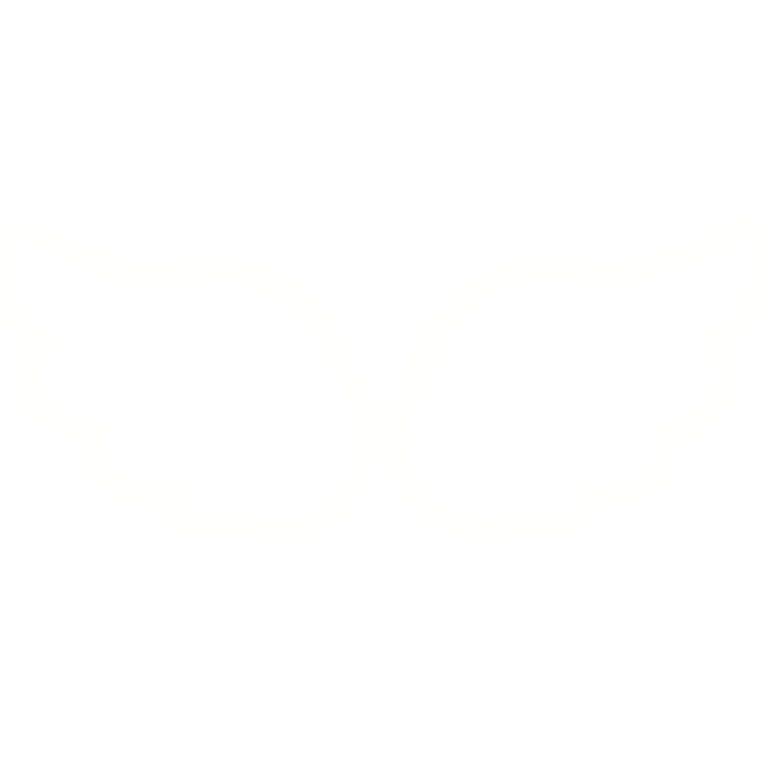 [ GLOWING ] White Angel Wings 