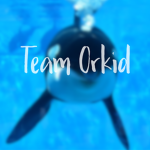 Team orkid