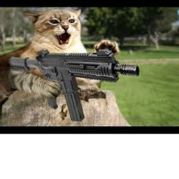 Gato's BattleGrounds