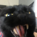 ‘j0v3i !!