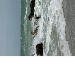 Fun beach hangout