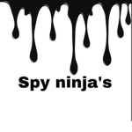Spy ninja’s group