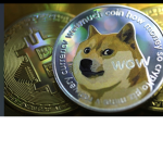 Doge mophya