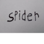 Spider_loves