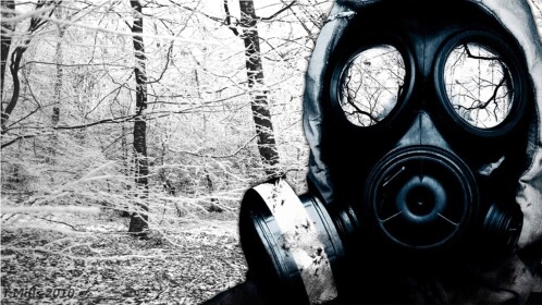 Toxic house