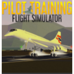 Pilot Training