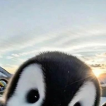 qioioioioesoi