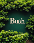 Bush [Eu]