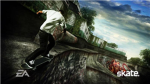 skateboard dudes