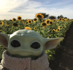 BabyYoda Squad