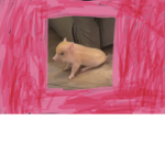 MY FAVE ANIMAL PIGS