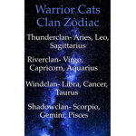 Stormstars Warrior team