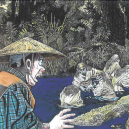 Hoshi Swamp lands