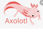 The pink axolotl‘s