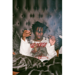 lovsosa