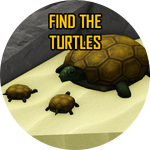 Find The Turtles