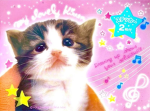 shiny kittens!