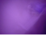 POV You Are Monke