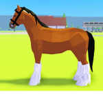 Blossom Hill Stables