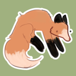 ~Fox clothes~