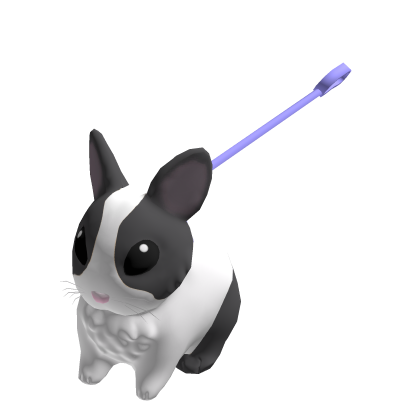 Pet Bunny Rabbit thumbnail
