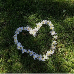 ❀