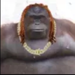 Guerilla King