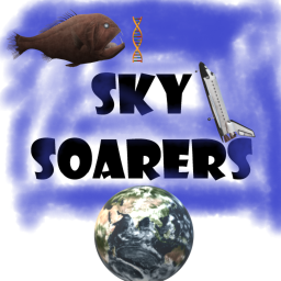 Sky Soarer Obstacle Course