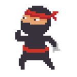 Ninjaquad