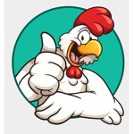 Chicken Squad YT