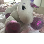 Princess the unicorn