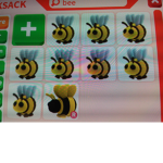 Bee squad adopt me