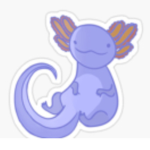 Jimmy the axolottl