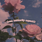 Cm butterfly squad