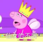 媛媛集團