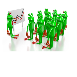 🐸 Frog Meeting 📅